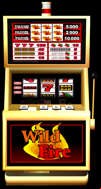Multi-Payline Wild Fire